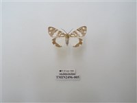 藏品(大花斑蝶燈蛾)的圖片